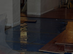 weDRY Restoration - The Cost to Fix Water Damage