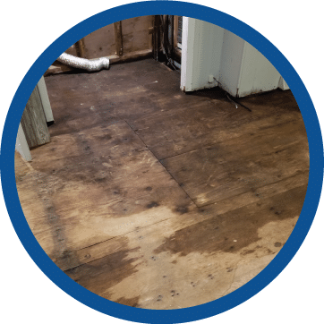 Water Damage and Restoration