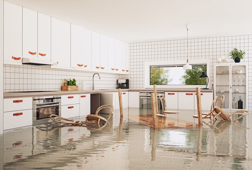 Water Damage Restoration FAQs