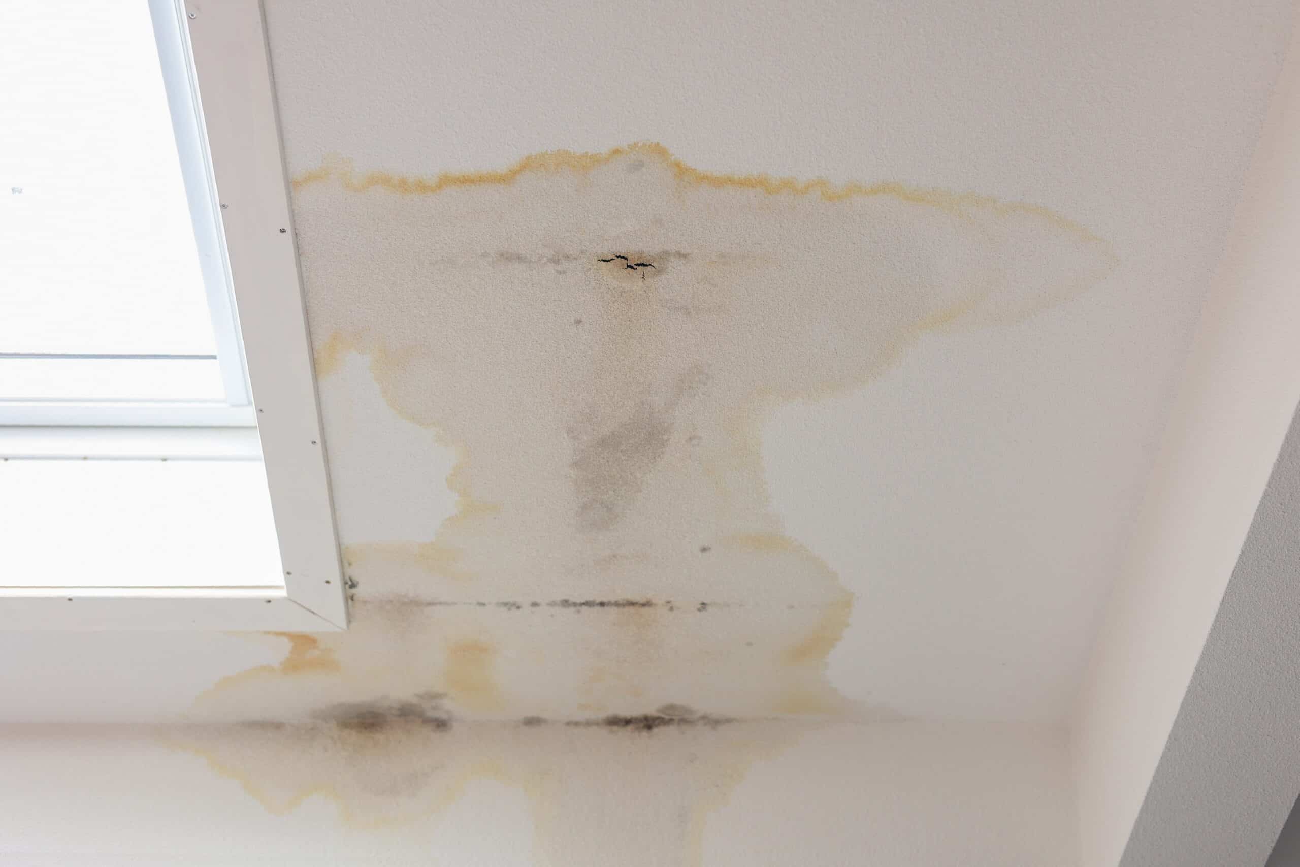 ceiling water damage